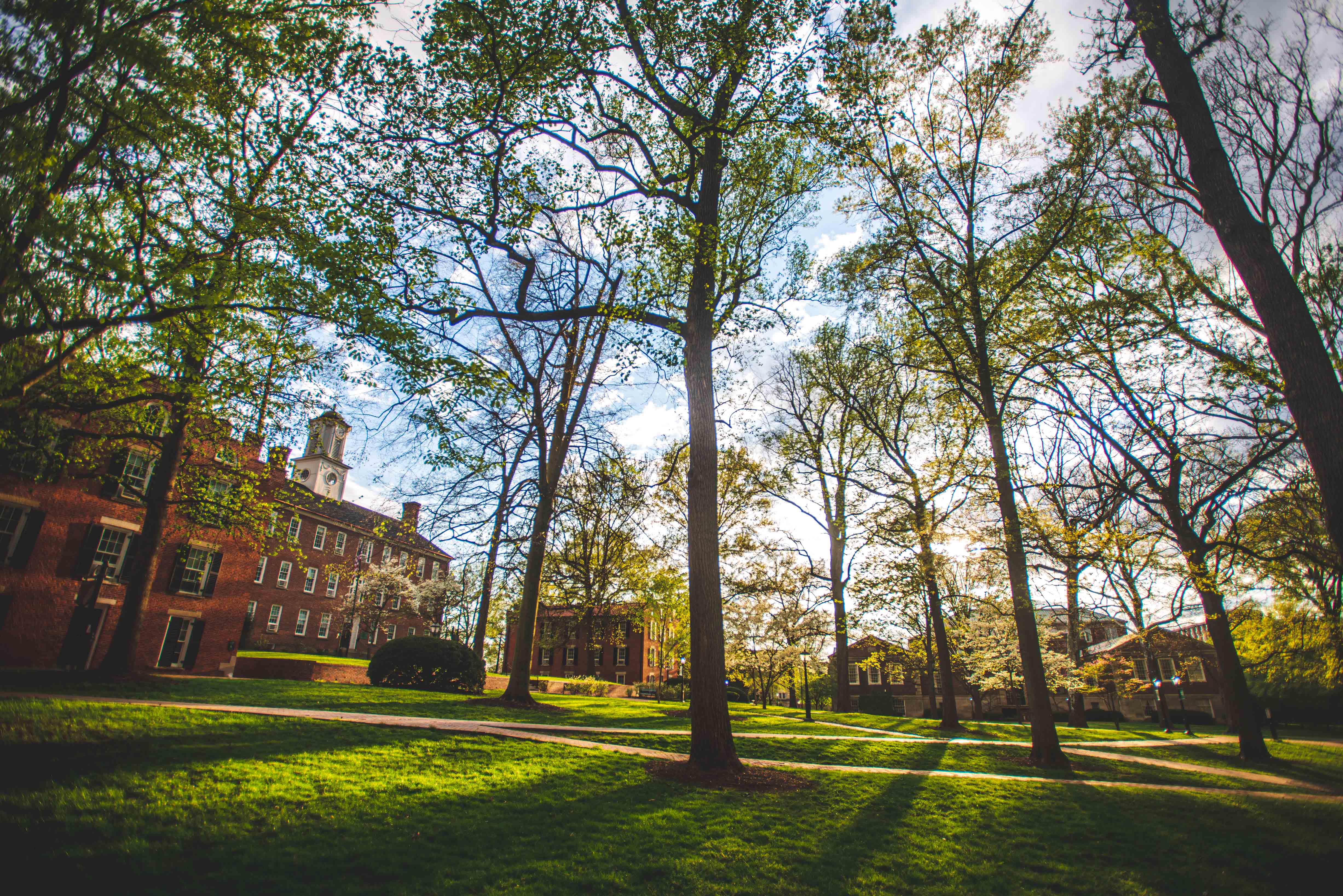 Board of Trustees approves funding for the design of new residential